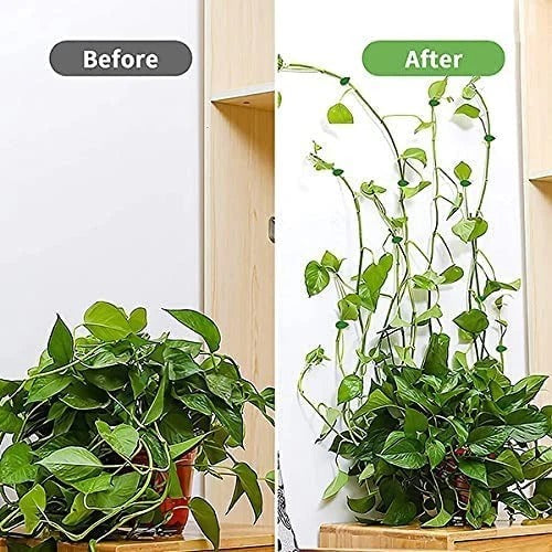 Leaf-Shaped Plant Climbing Wall Fixture Clips